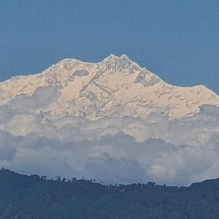 New Bloom Homestay Kurseong Bagian luar foto
