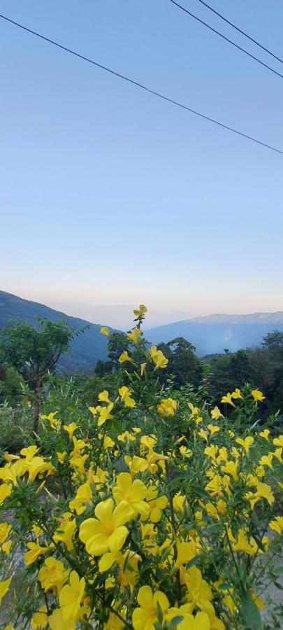 New Bloom Homestay Kurseong Bagian luar foto