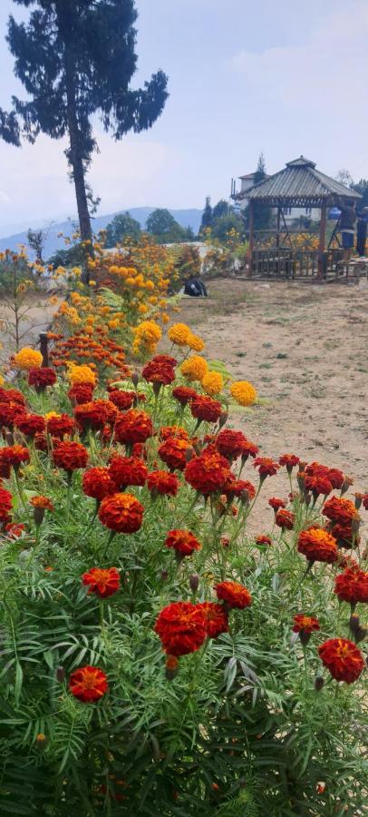 New Bloom Homestay Kurseong Bagian luar foto
